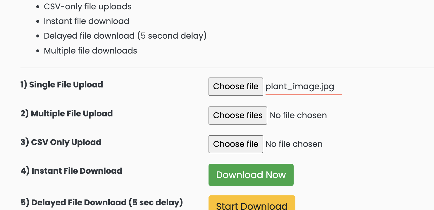 file successfully uploaded